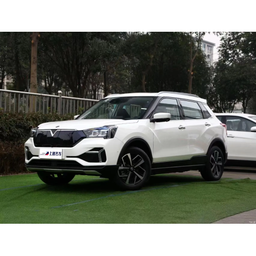 Hot Selling Very Cheap New Energy Vehicle EV Cars Dongfeng Qichen T60 In 2022 New Energy Vehicles